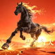 2026 Chinese New Year - Year of the Horse Grand Opener - VideoHive Item for Sale