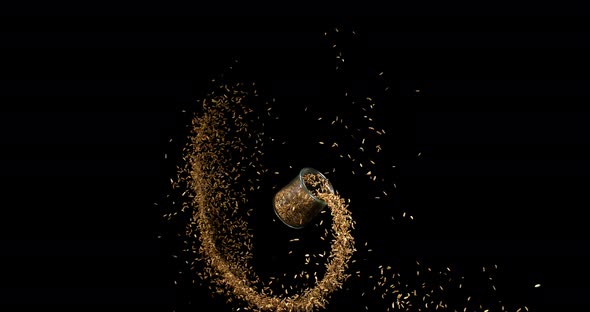 Seeds of Fennel, foeniculum vulgare Falling against black Background, Crockery, slow motion 4K alt