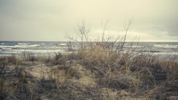 Baltic Winter Storm on a Background of Sand Dunes alt