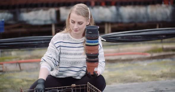 Gardener Sorts Pots in Greenhouse alt