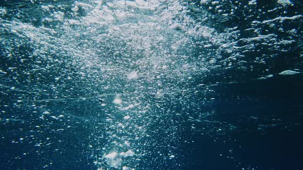 Air bubbles underwater in the ocean rising to surface, natural scene alt