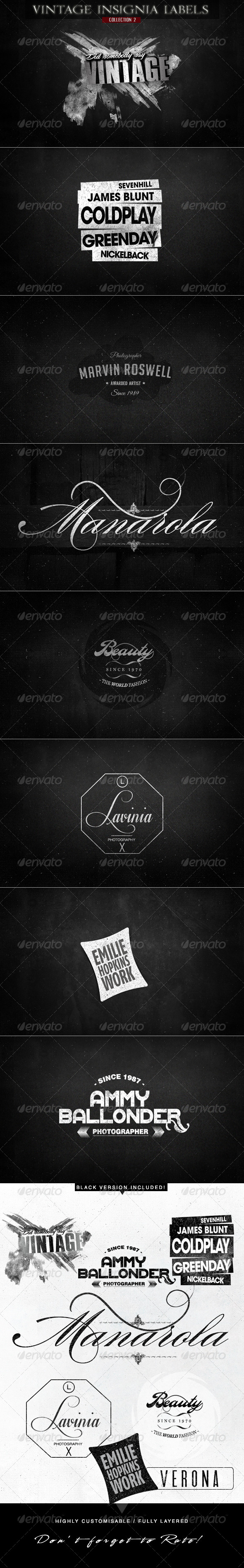Vintage Insignia Labels for Logo & Branding v.2 - Badges & Stickers Web Elements