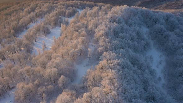 Winter Sunrise Above The Mountain Forest 5 alt