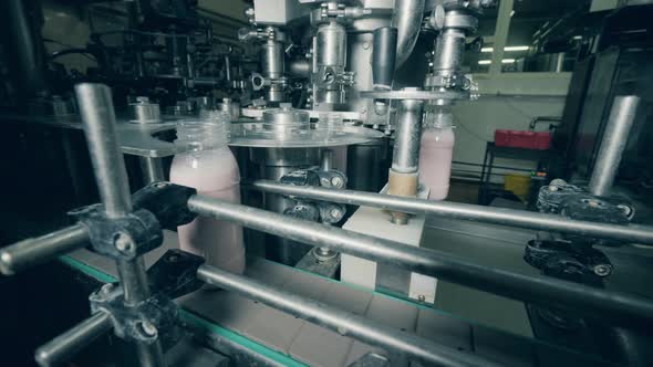 Filled Bottles Move on a Line at a Dairy Factory. Automated Equipment for Production and Packing alt