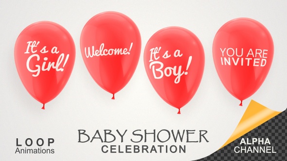 Baby Shower Celebration