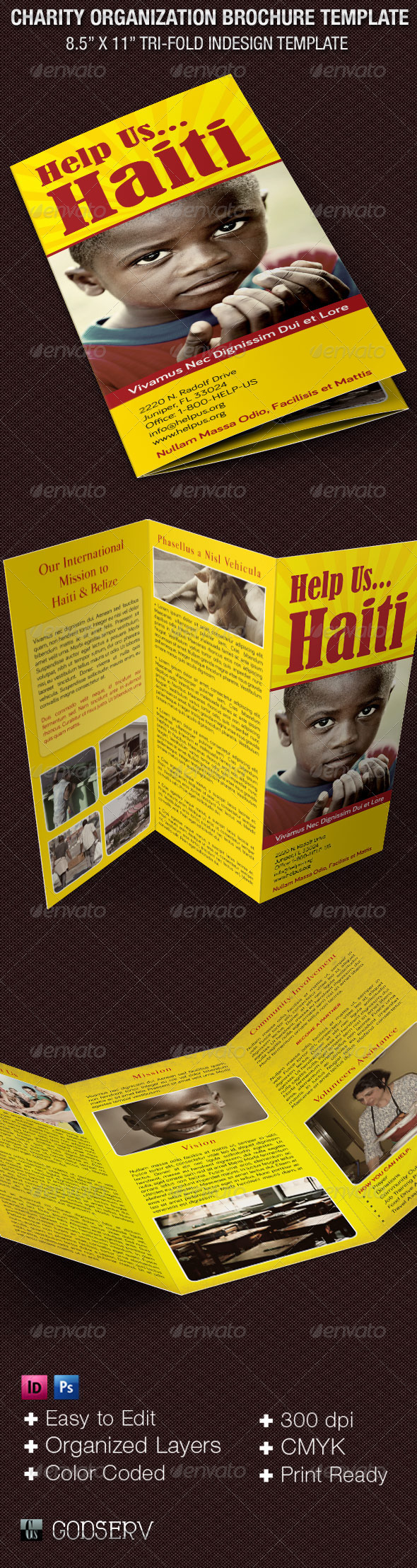 Charity Organization Brochure Template - Informational Brochures