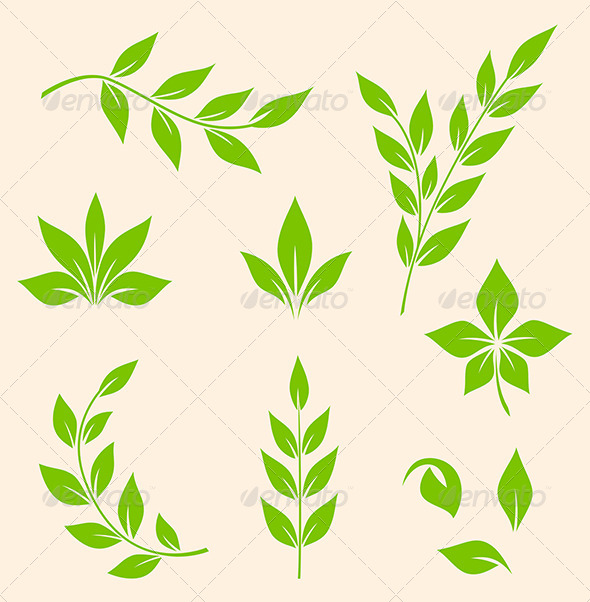 Green Leaves - Flowers & Plants Nature