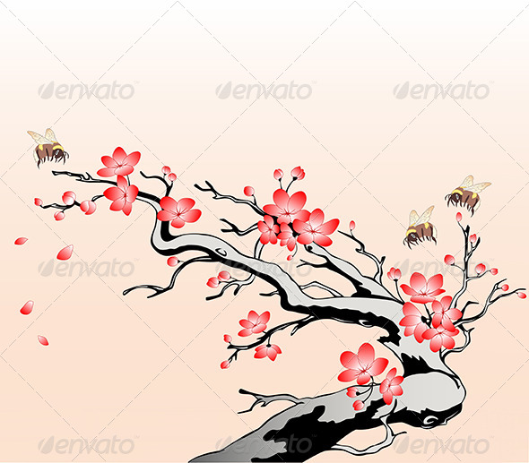 Flowering Cherry Branch - Flowers & Plants Nature