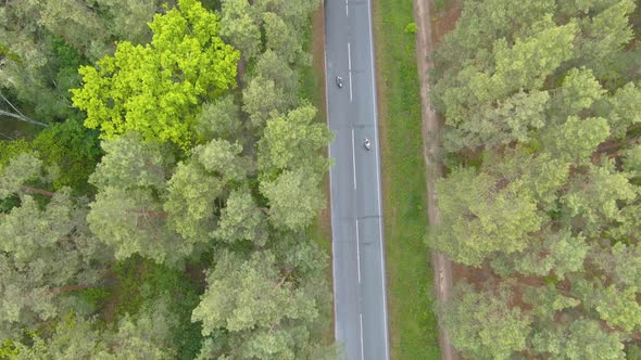 Top View of Two Bikers on Scooters Riding on Road with Forest on Both Sides. Beautiful Nature with alt