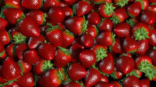 Strawberries 02
