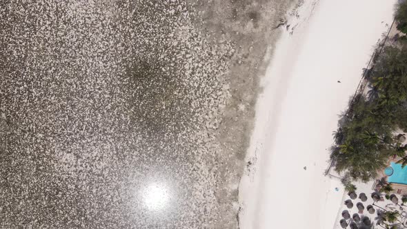 Low Tide in the Ocean Near the Coast of Zanzibar Island Tanzania alt