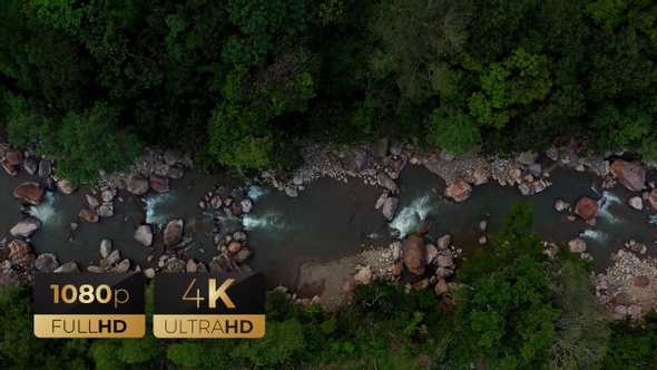 AH - Top View The River and Road Forest Preserve 01 alt