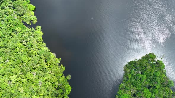 Stunning landscape of Amazon Forest at Amazonas State Brazil. alt