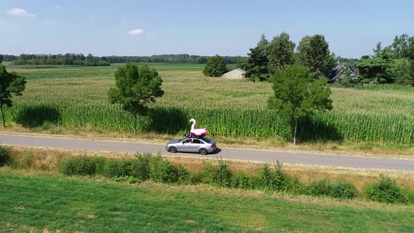 Aerial view of riding car with inflatable flamingo on roof rack. Sunny and cheerful summer day. 