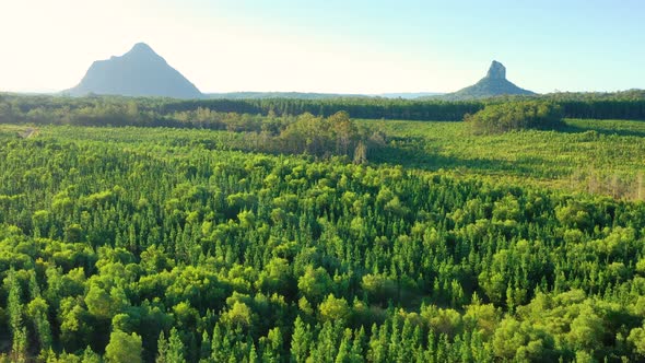Aerial view of the Glass House Mountains, Sunshine Coast Hinterland. alt