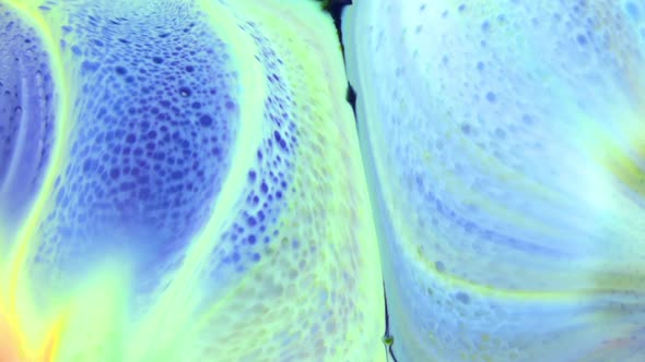 Abstract Colorful Invert Sacral Paint  Exploding Texture 503 alt