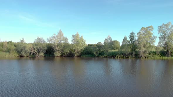 Soaring above the river and forest alt