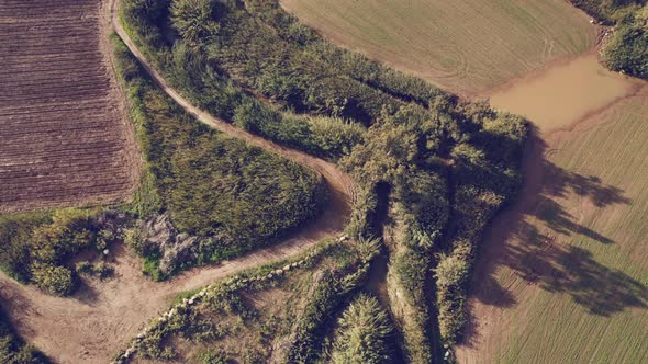 Drone Green Fields River Bank