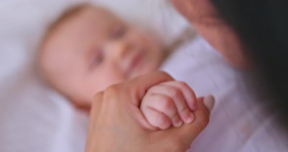 Closeup Baby's Fingers in Mom's Hand alt
