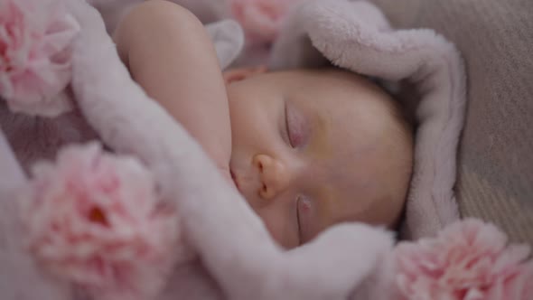 Closeup Top View Sleeping Infant Girl Lying in Cozy Bed with Pink Flowers alt