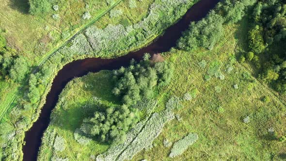 Aerial View From Drone on Summer Forest, Field and River alt
