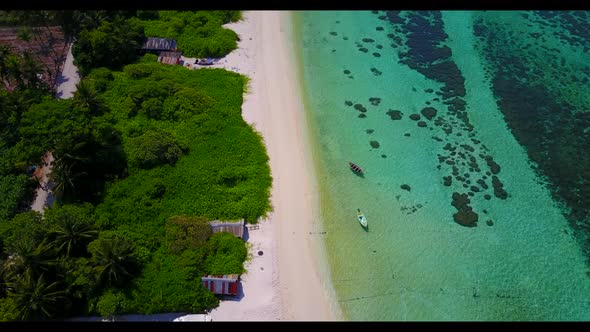 Aerial drone shot scenery of tropical coast beach wildlife by transparent sea and white sandy backgr alt