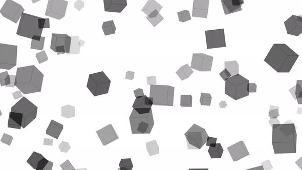 Abstract Black Cubes Flying Animation