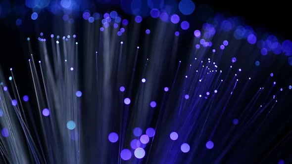 Optical fibers network cable