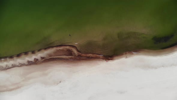 AERIAL: Slowly Lifting Up Over a Beautiful Seashore alt