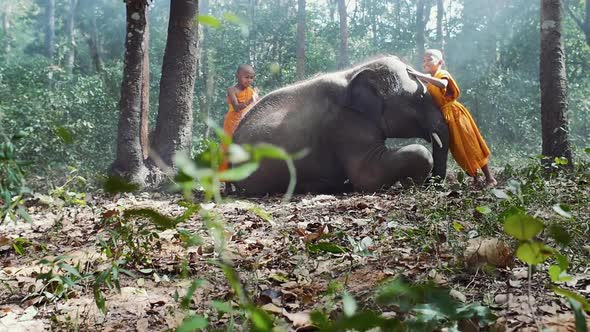 Farmers and monks village in Thailand alt