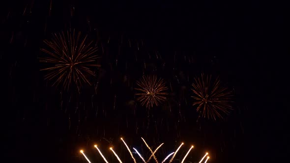 Colorful Firework display at night on sky background alt
