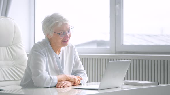 Old woman company manager with grey hairstyle alt
