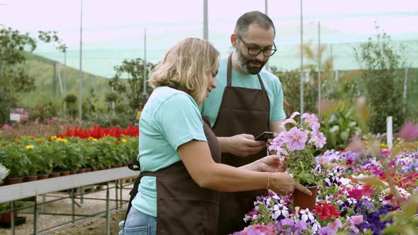 Two Professional Florists Taking Photo of Potted Petunia alt
