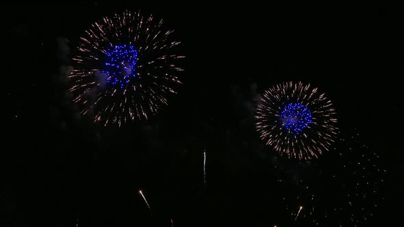 Colorful Firework display at night on sky background alt