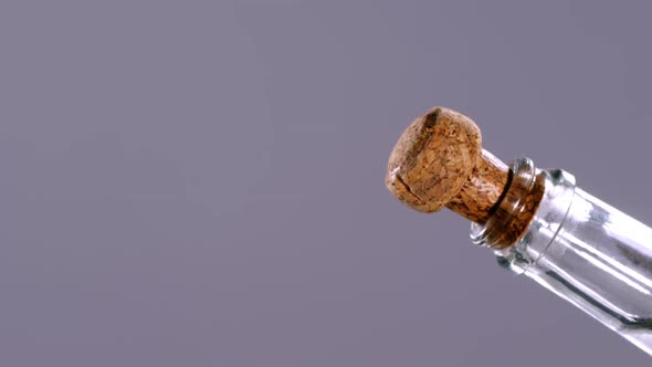 Opening champagne bottle alt