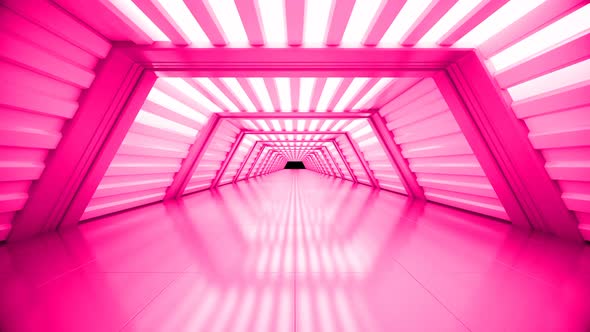Pink Tunnel Loop