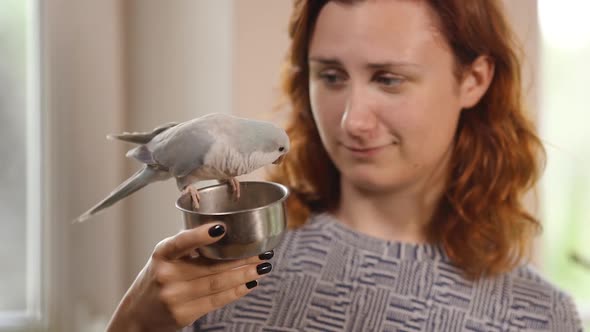 Young Woman Holds Feeder with Light Blue Quaker Parrot Eating and Being Cute alt