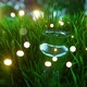 Glowing fireflies on a grass filed HD - VideoHive Item for Sale