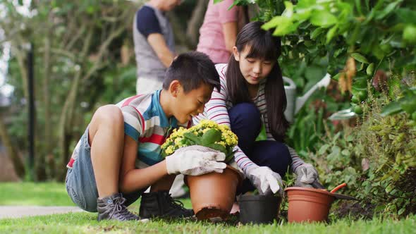 Happy asian brother and sister in garden, planting flowers and talking, with parents in background alt