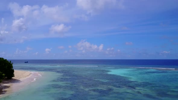 Aerial drone sky of coast beach wildlife by blue water and sand background alt