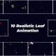Realistic Falling Leaves | PP - VideoHive Item for Sale