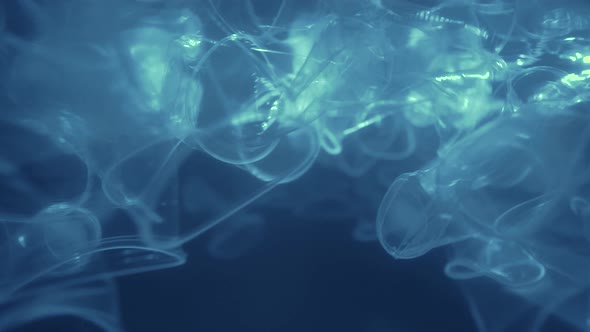 Plastic is the cause of global warming. A lot of plastic is under water. Save earth save wold alt