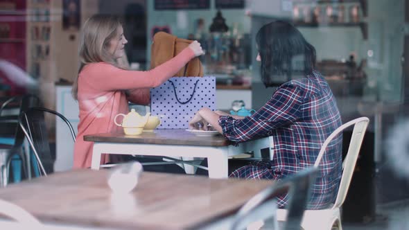 Female friends in coffee shop looking at clothes purchased