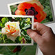 Handing Out Photo Gallery - VideoHive Item for Sale