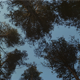 Ambient Chill House