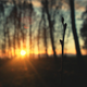 Sunset - VideoHive Item for Sale
