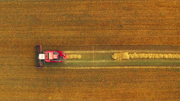 Flat Elevated View Of Rural Landscape With Working Combine Harvester In Wheat Field Collects Seeds alt