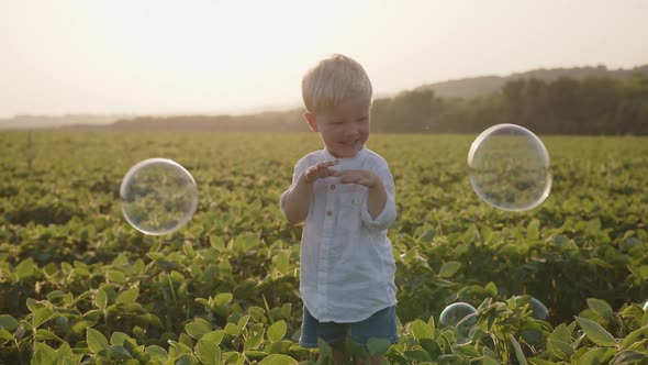 Child a Handsome Boy Plays in a Field in the Summer He Catches Blowing Soap Bubbles alt