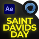 Saint Davids Day Titles