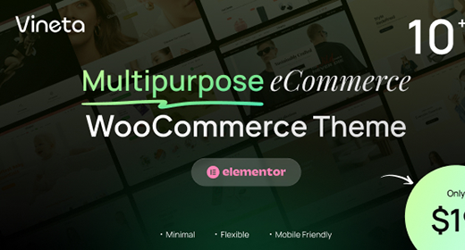 WordPress eCommerce Theme